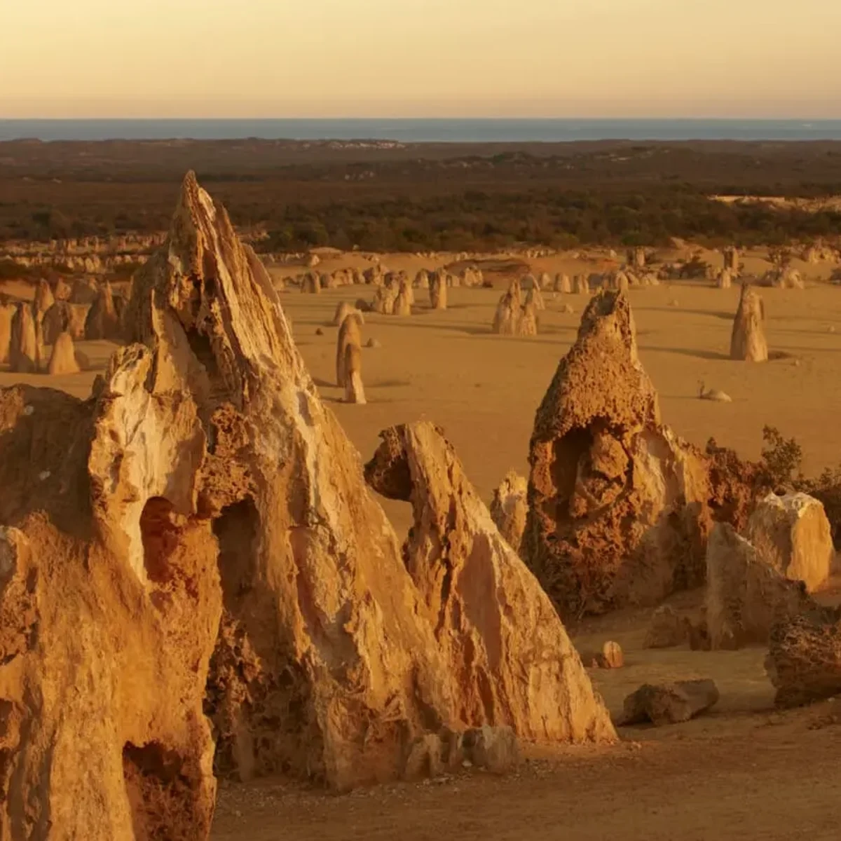 Swan Valley Western Australia