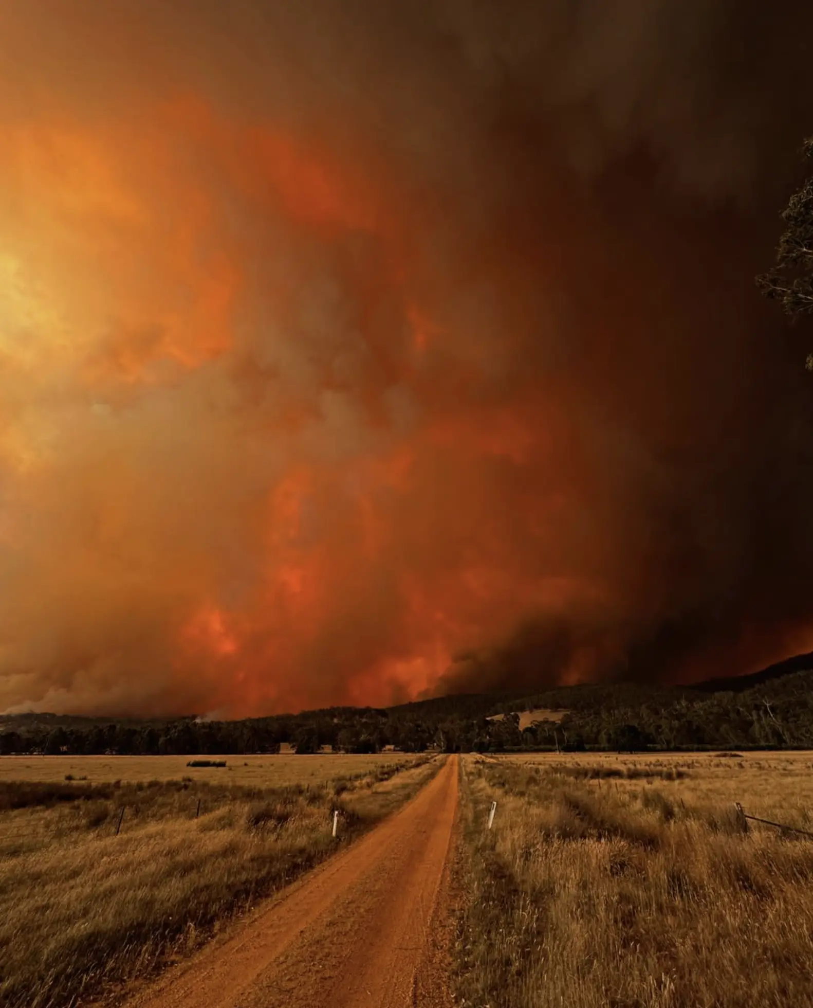 A Photographer’s Guide to Capturing the Beauty of the Grampians