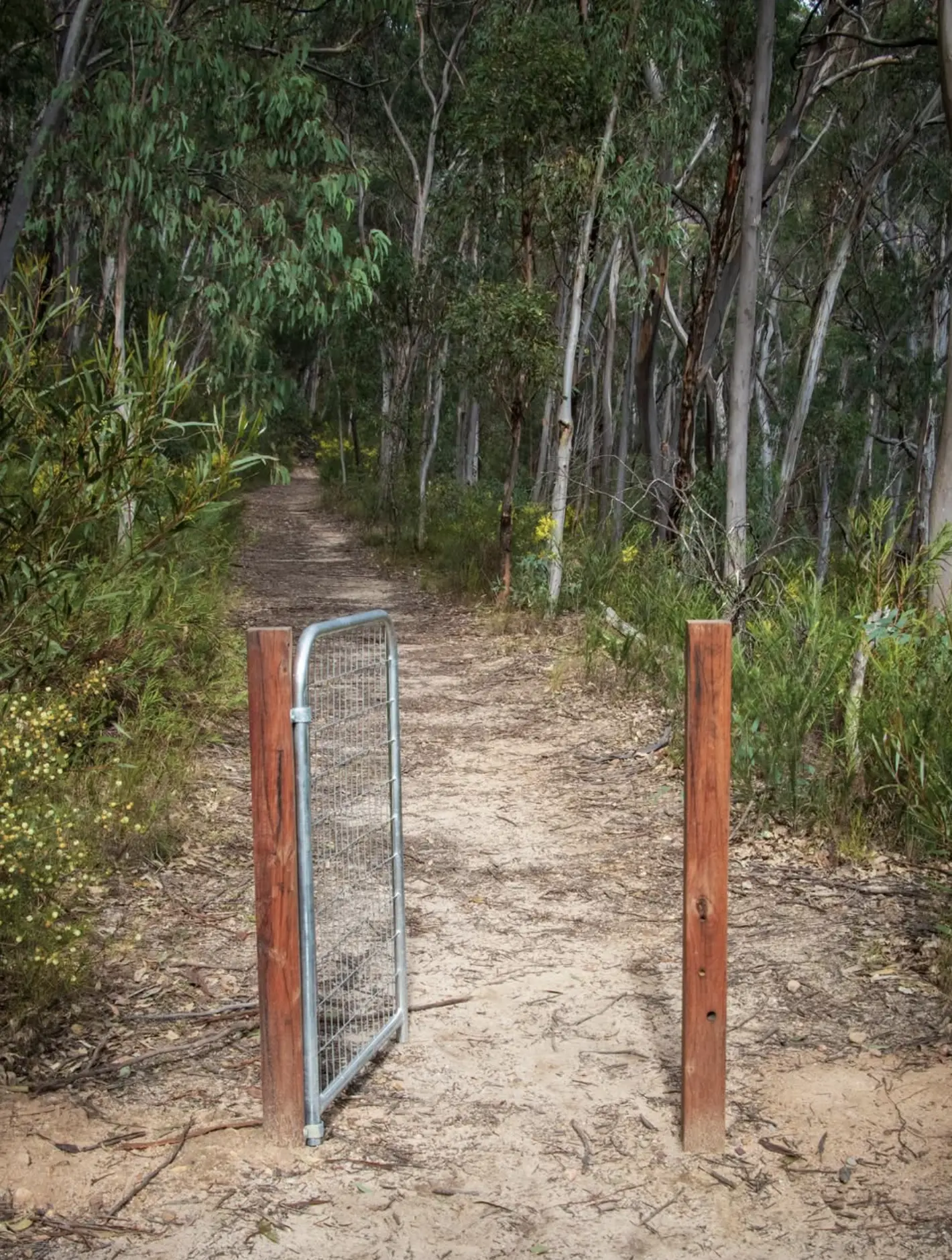 Hiking Trails Blue Mountains