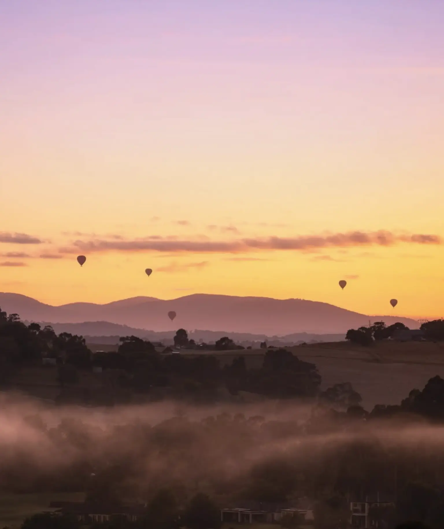 Yarra Valley autumn drive