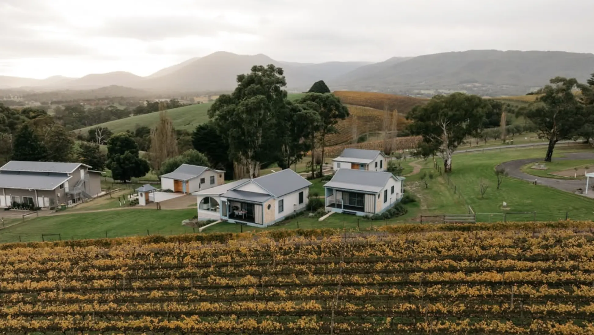 Yarra Valley winery tour autumn