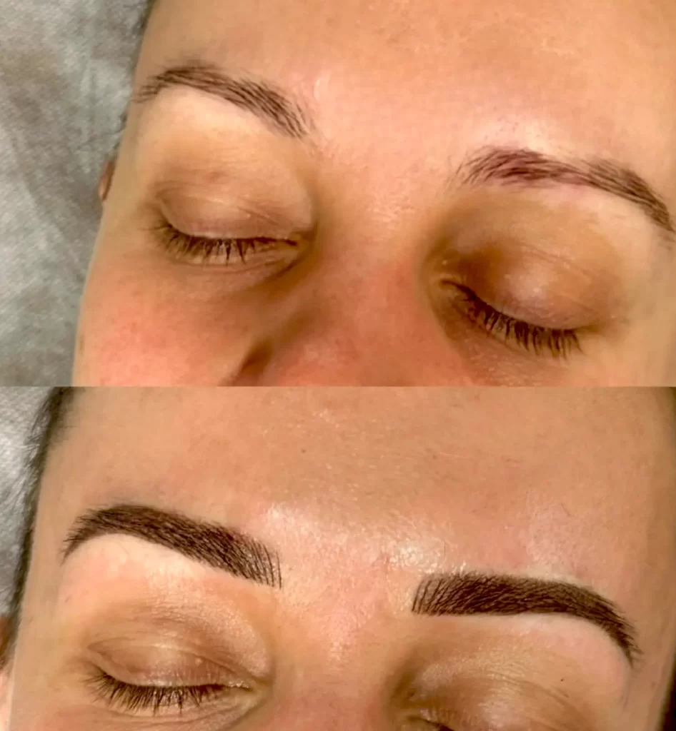 Ombre or Powder Brows